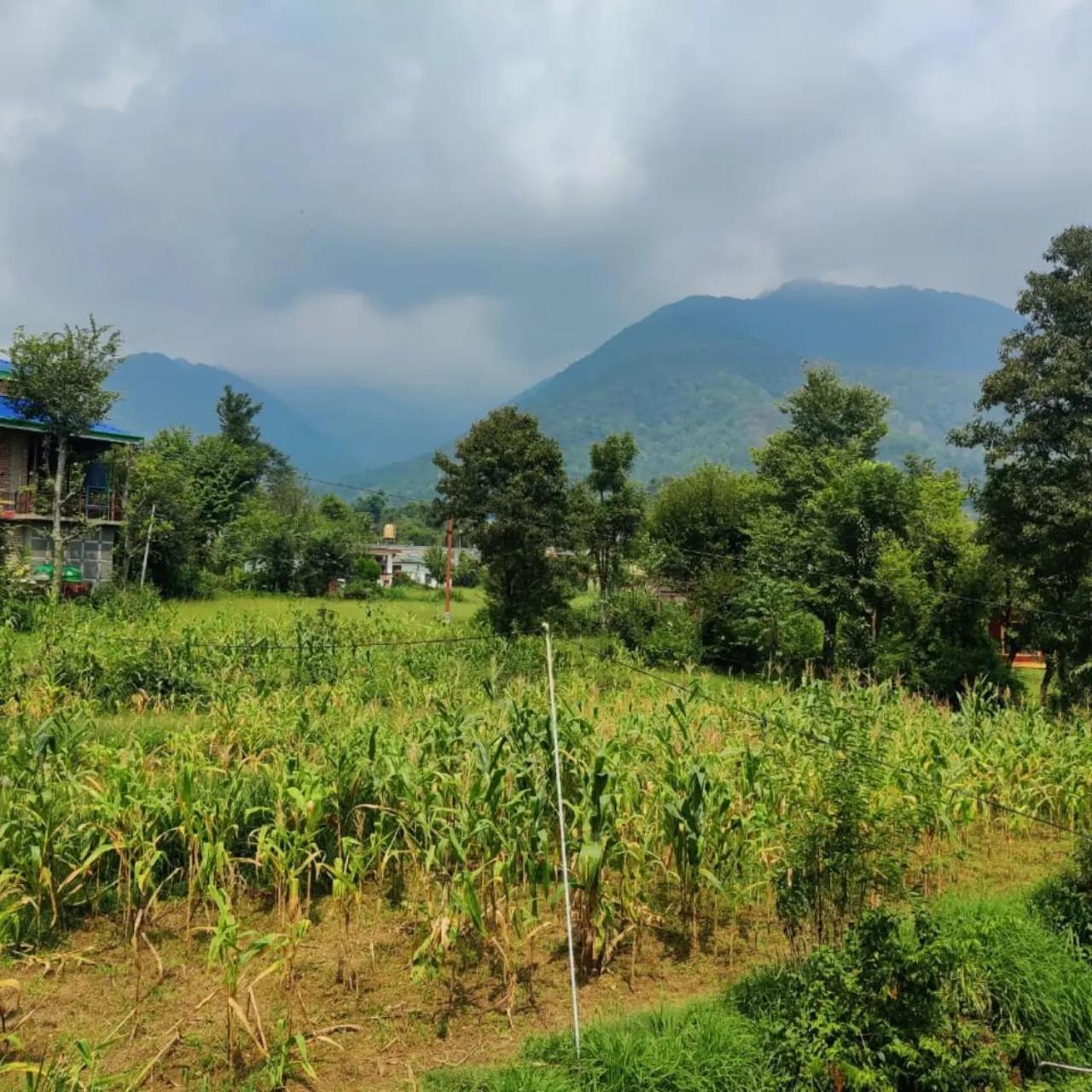 Aditya Homestay Bir-Billing Surrounded By Mountains Extérieur photo