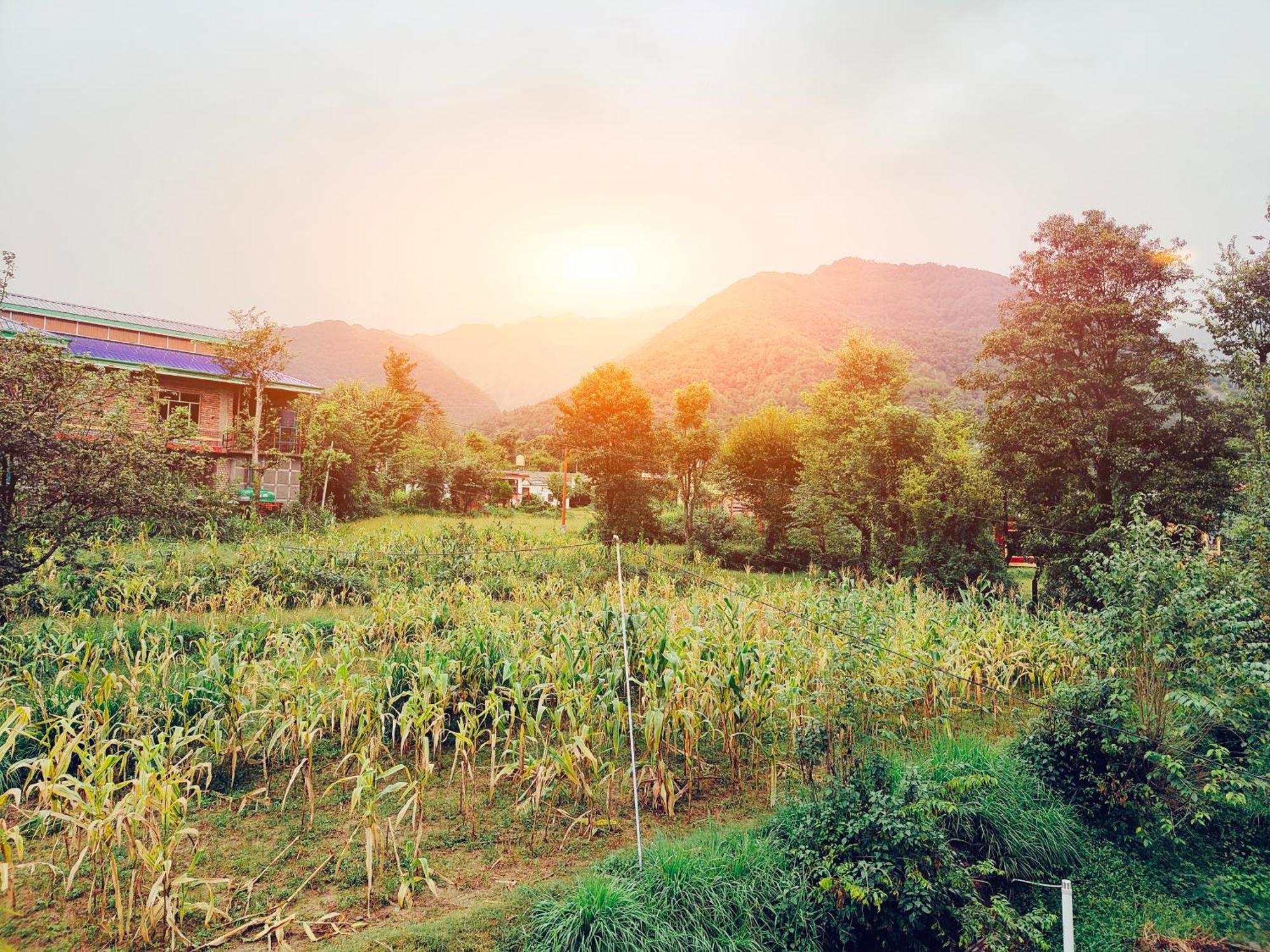 Aditya Homestay Bir-Billing Surrounded By Mountains Extérieur photo