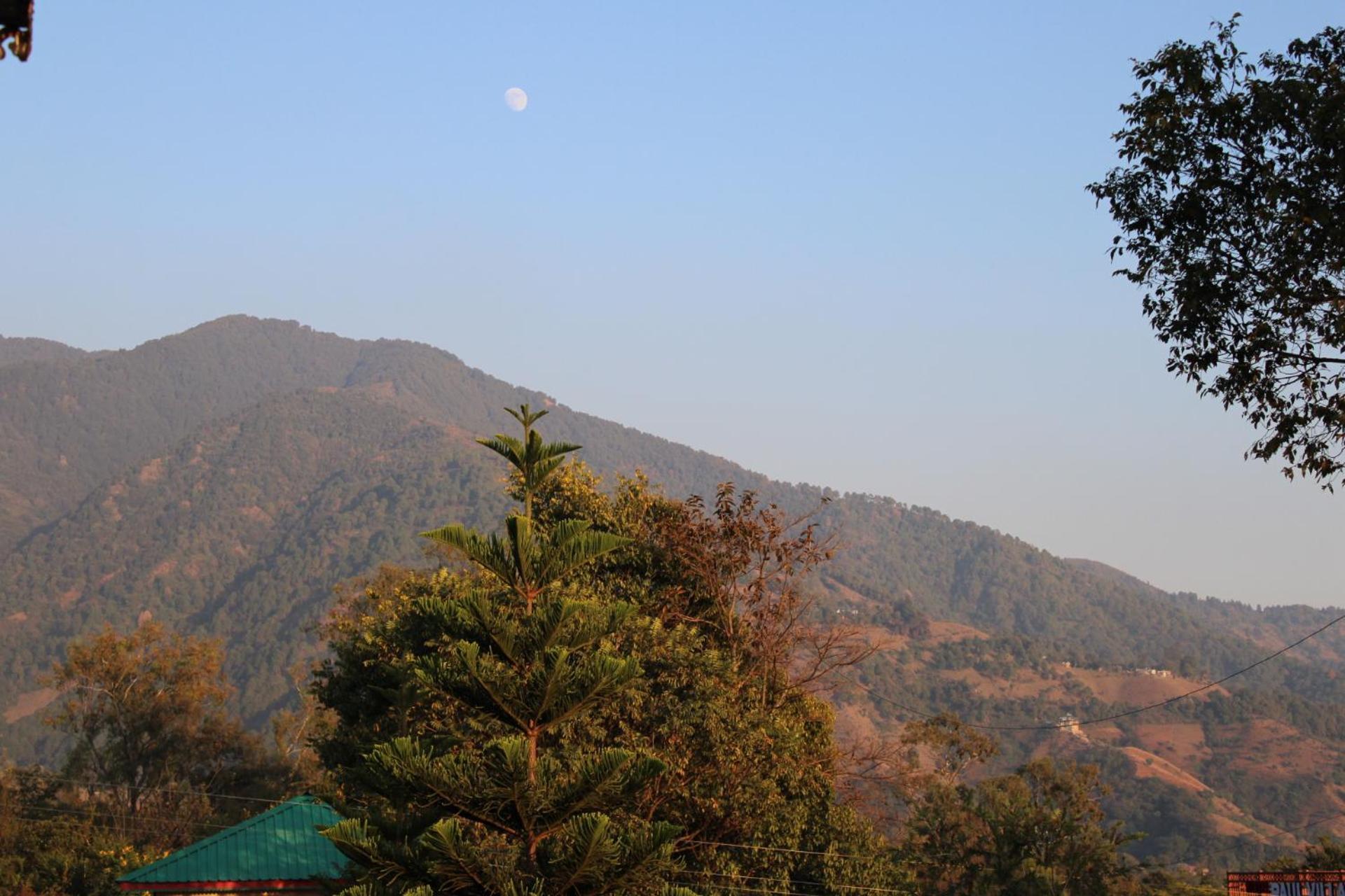 Aditya Homestay Bir-Billing Surrounded By Mountains Extérieur photo